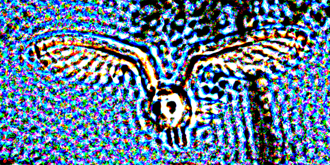 Swirling colored marks resolve into a barn owl in flight, wings spread toward the viewer under optical defocus.