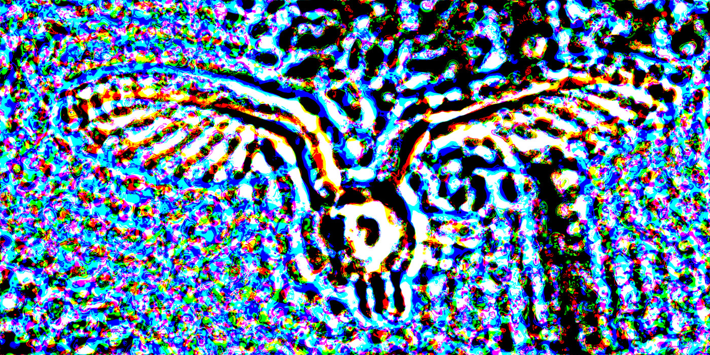 Swirling colored marks resolve into the same barn owl at a broader optical tuning under optical defocus.
