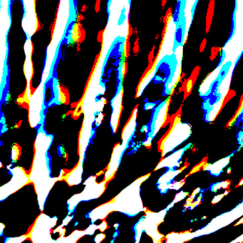 Enlarged, unblurred wing detail of Fishing Eagle, showing individual colors.