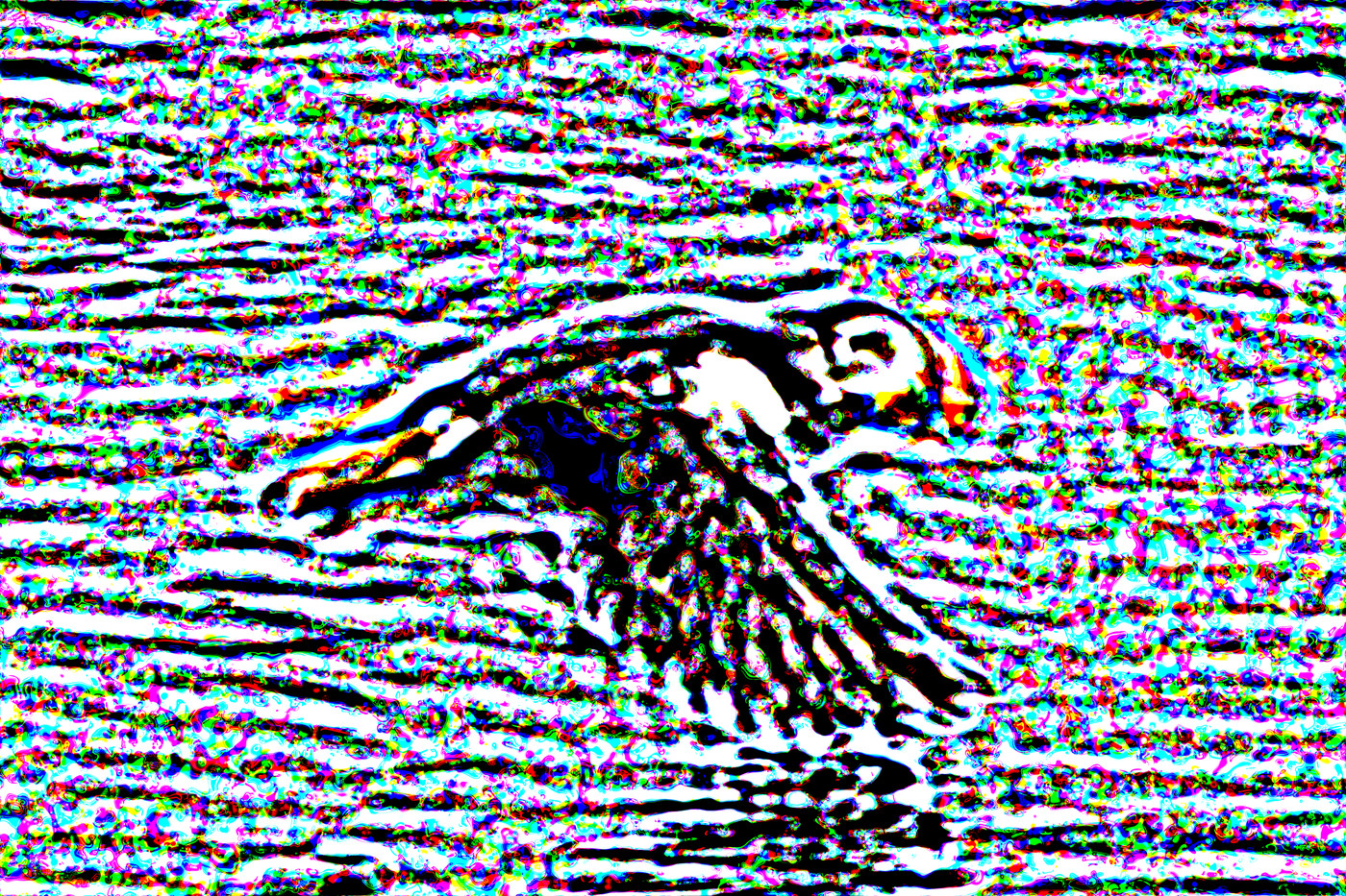 Swirling colored marks resolve into a puffin skimming low over the water under optical defocus.